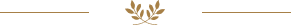 cta_divider 1
